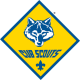 BSA pinewood derby logo