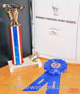 Pinewood derby Trophy and Ribbon picture