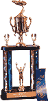 pinewood derby trophy picture