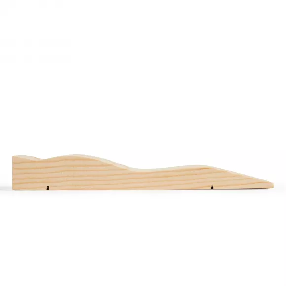 Lotus Pinewood Derby Car Body 062811